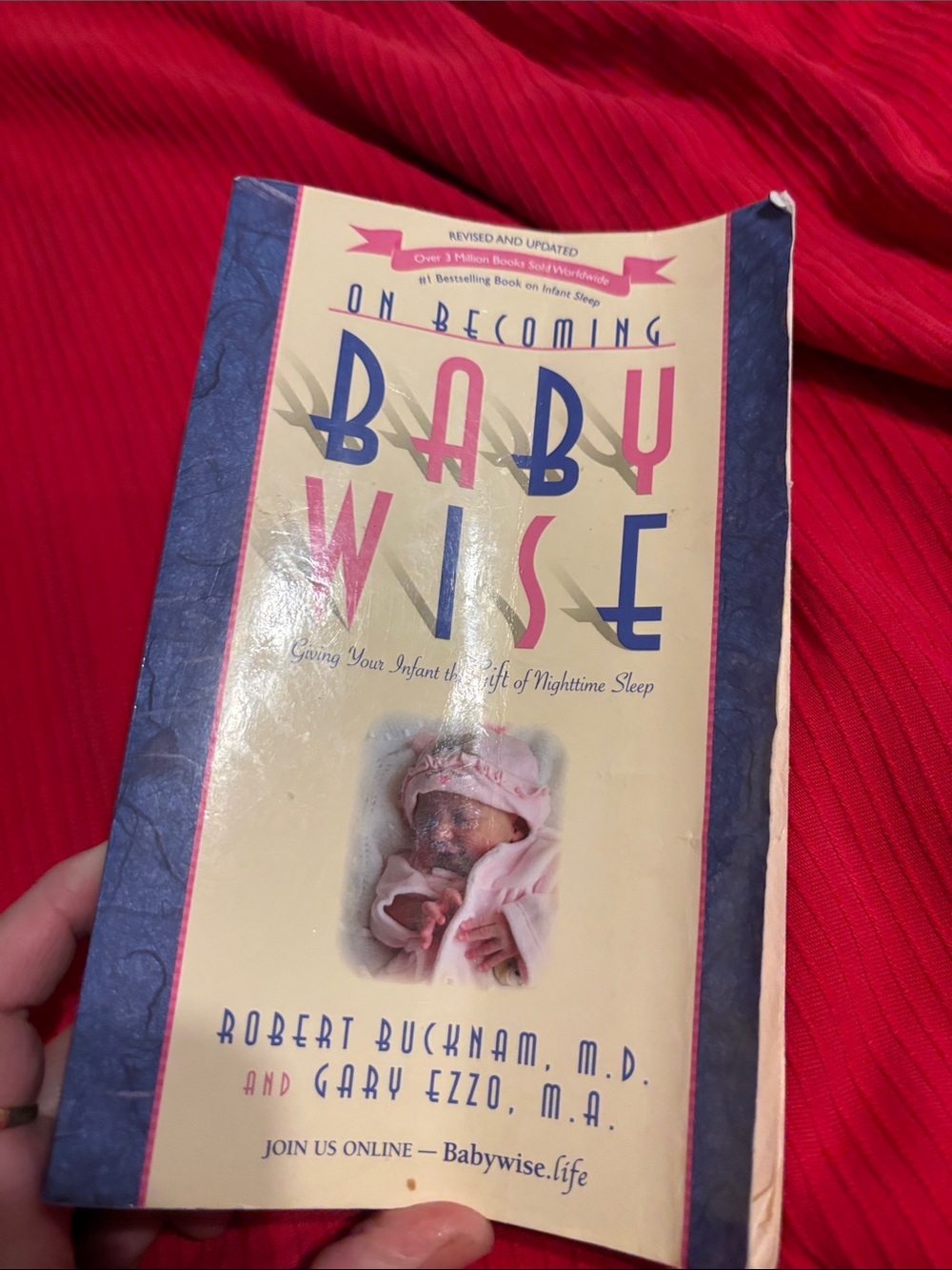 On Becoming Babywise - Cream and Blue Parenting Book